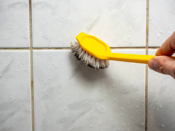 Best Localized Mold Remediation (e.g., coastal areas, humid climates) in Murrells Inlet, SC