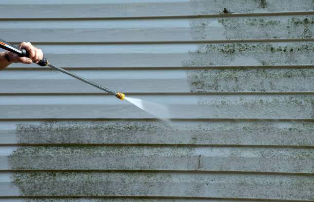 Best Mold Remediation for Specific Building Types in Murrells Inlet, SC